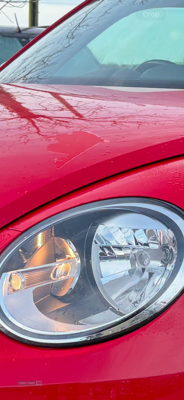 Volkswagen Beetle DIESEL HATCHBACK in Tyrone