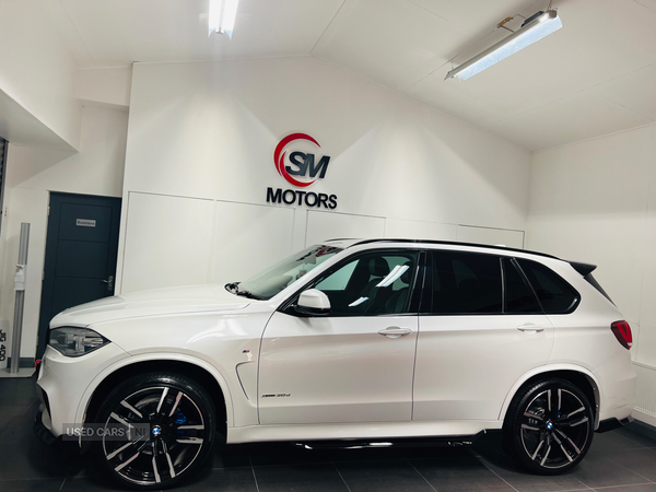 BMW X5 DIESEL ESTATE in Antrim