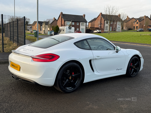 Porsche Cayman COUPE in Antrim