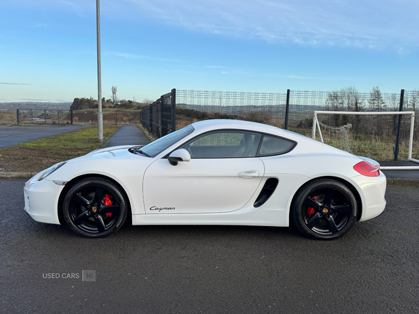 Porsche Cayman COUPE in Antrim