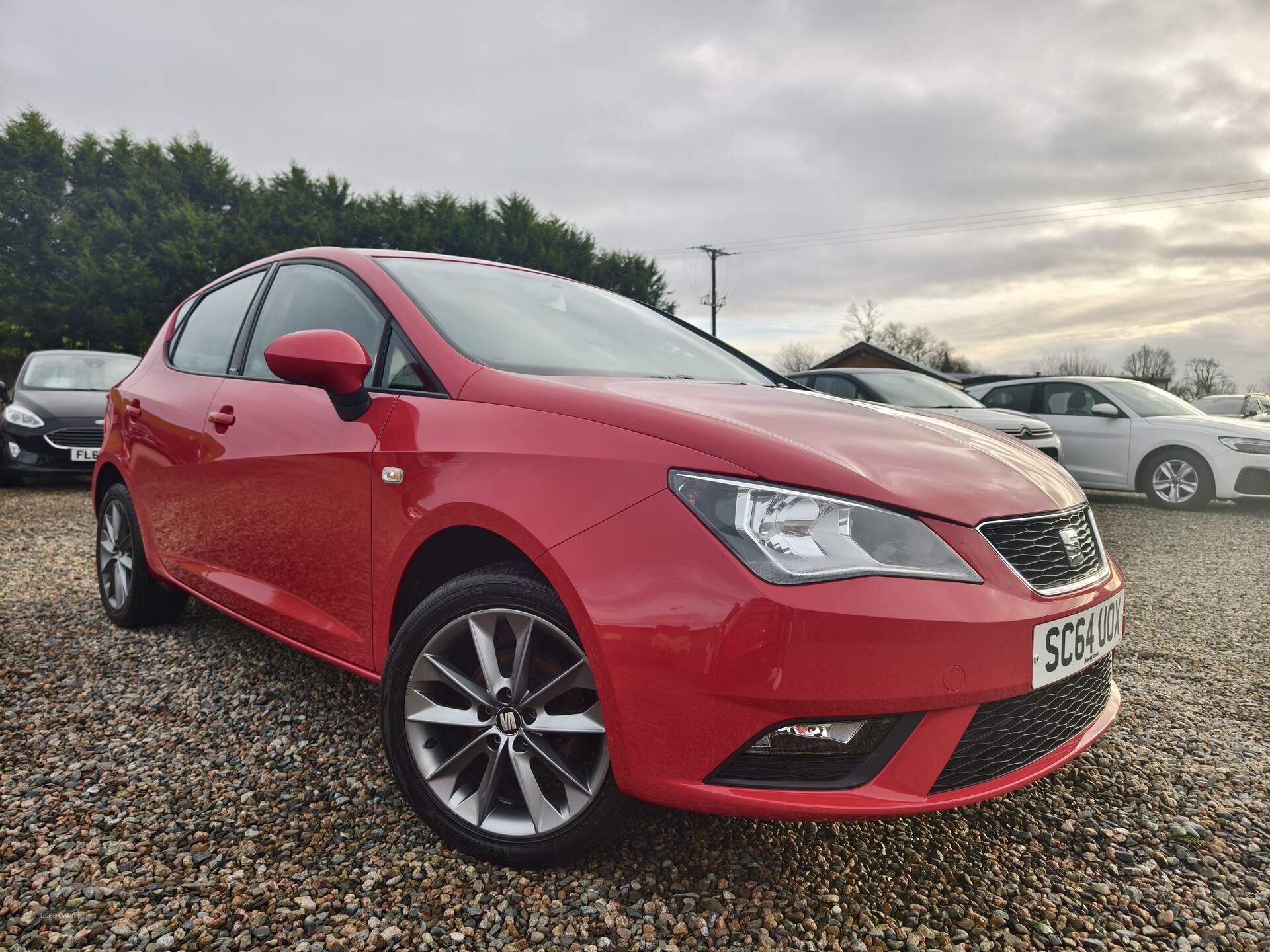 Seat Ibiza HATCHBACK SPECIAL EDITION in Fermanagh