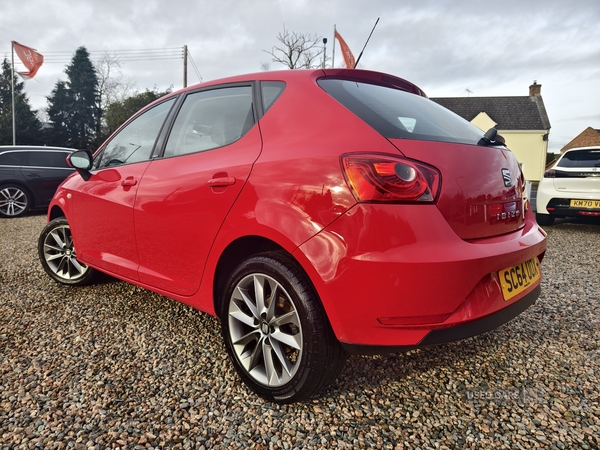 Seat Ibiza HATCHBACK SPECIAL EDITION in Fermanagh