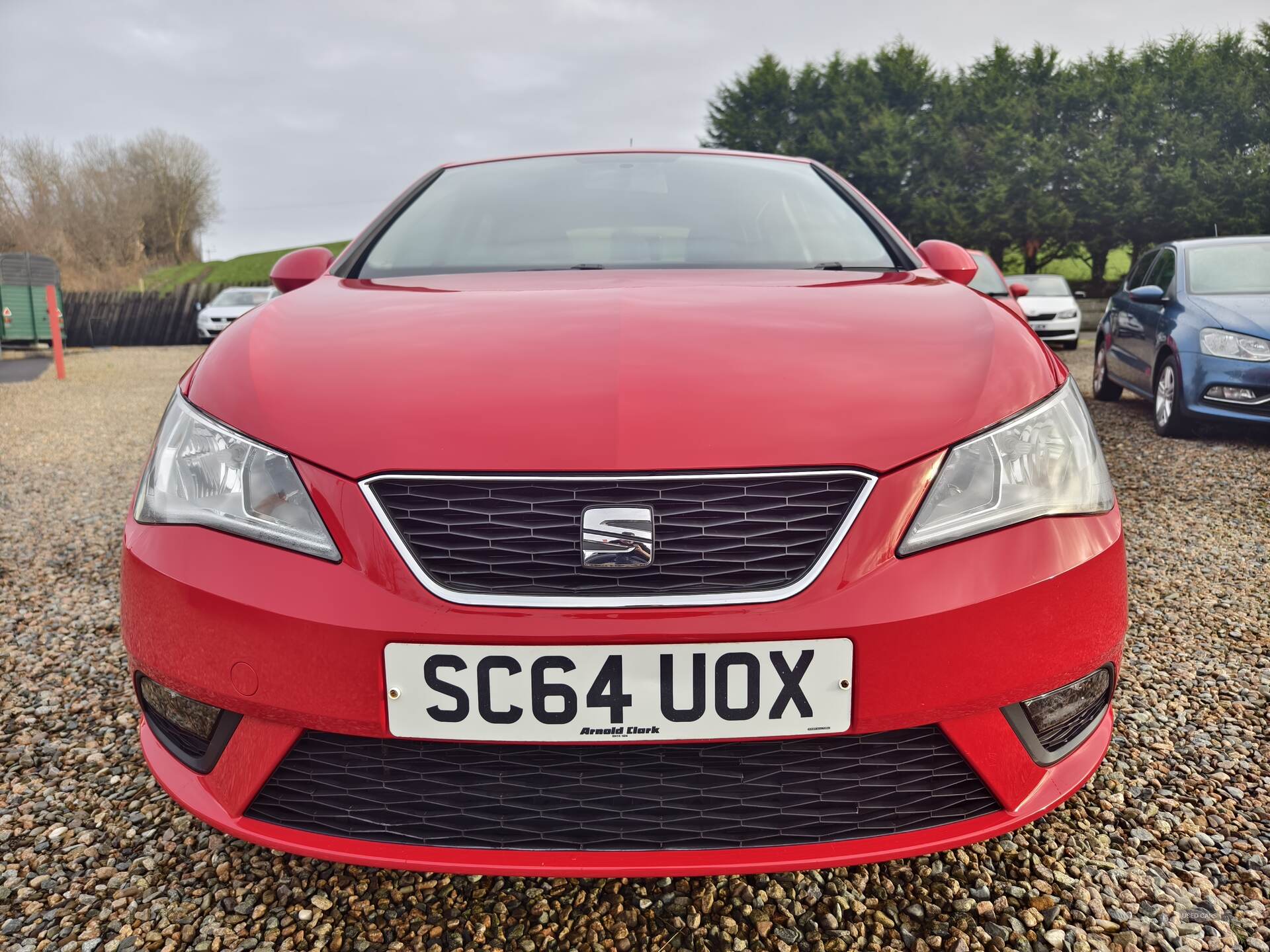 Seat Ibiza HATCHBACK SPECIAL EDITION in Fermanagh