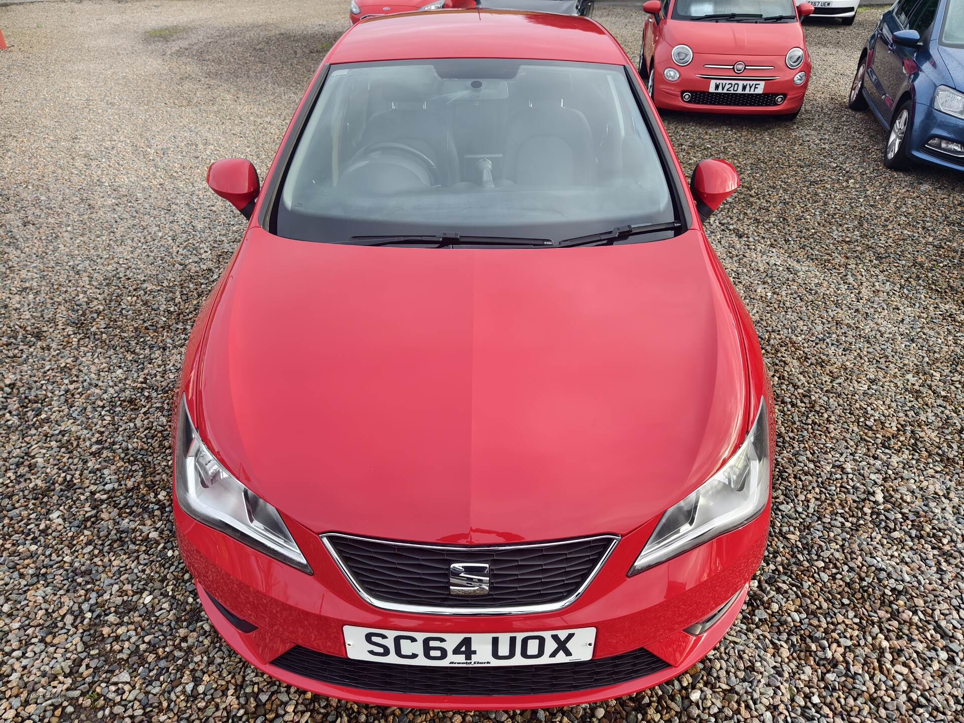 Seat Ibiza HATCHBACK SPECIAL EDITION in Fermanagh