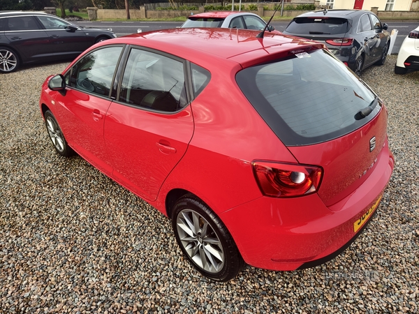 Seat Ibiza HATCHBACK SPECIAL EDITION in Fermanagh