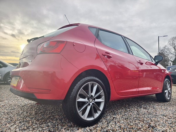 Seat Ibiza HATCHBACK SPECIAL EDITION in Fermanagh