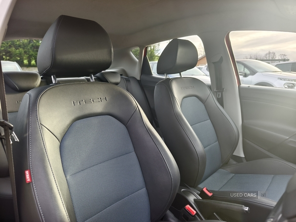 Seat Ibiza HATCHBACK SPECIAL EDITION in Fermanagh