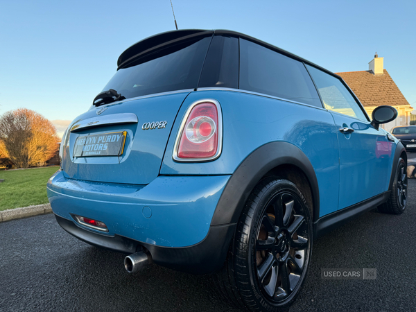 MINI Hatch SPECIAL EDITIONS in Antrim