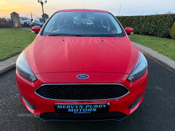 Ford Focus HATCHBACK in Antrim