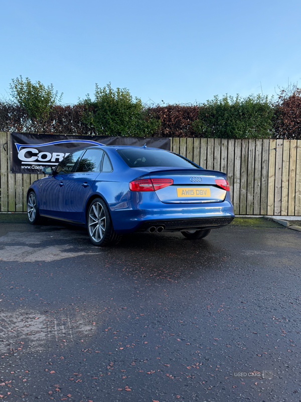 Audi A4 SALOON SPECIAL EDITIONS in Tyrone