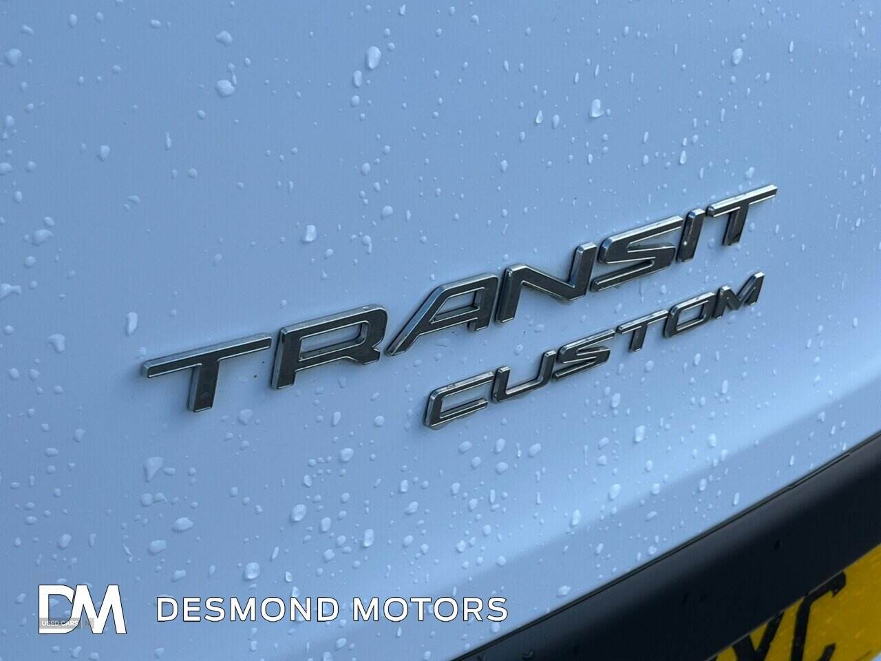Jun 2019 Ford Transit 2.0 EcoBlue 130ps Low Roof Trend Van