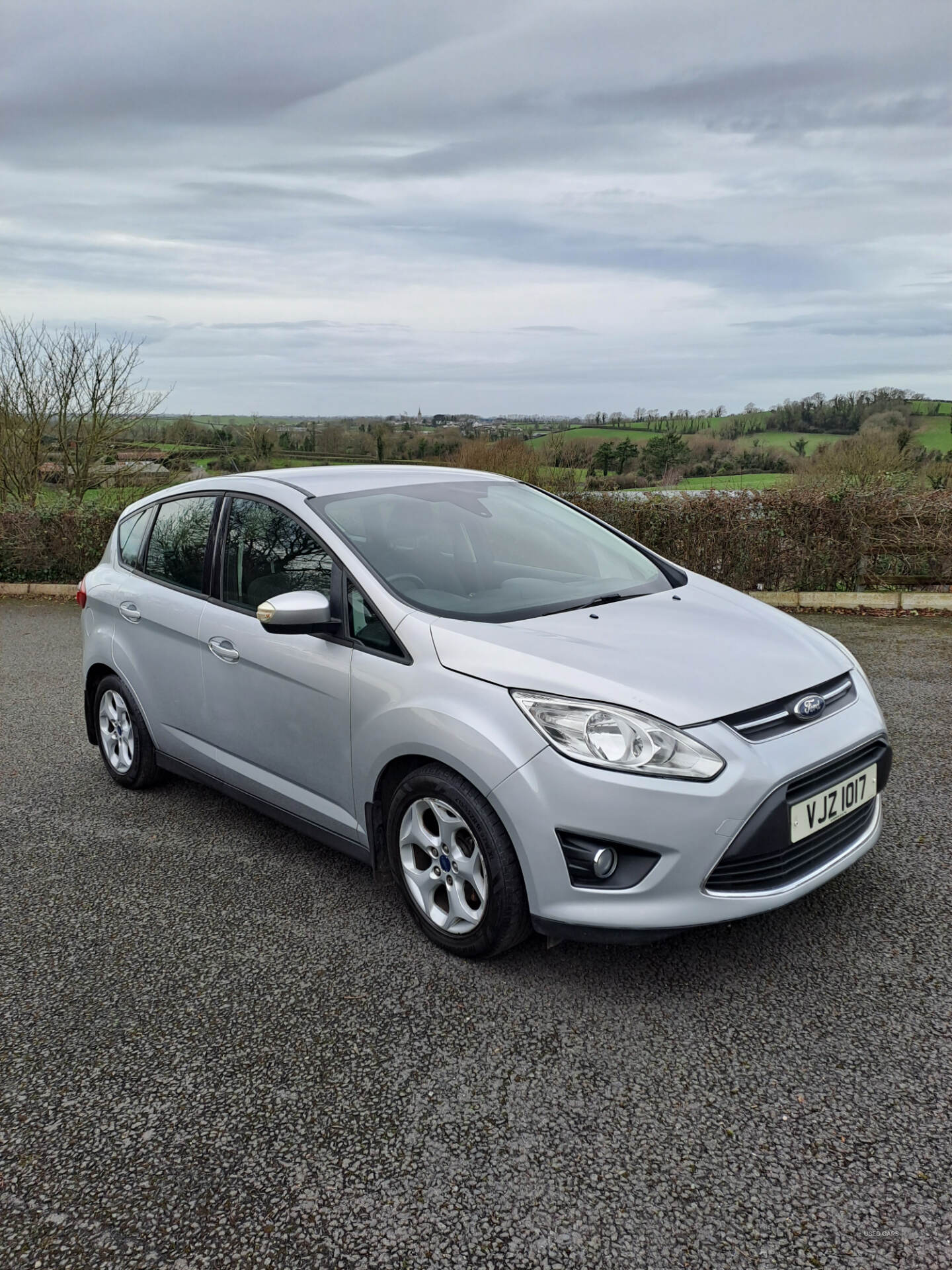 Ford C-max ESTATE in Armagh