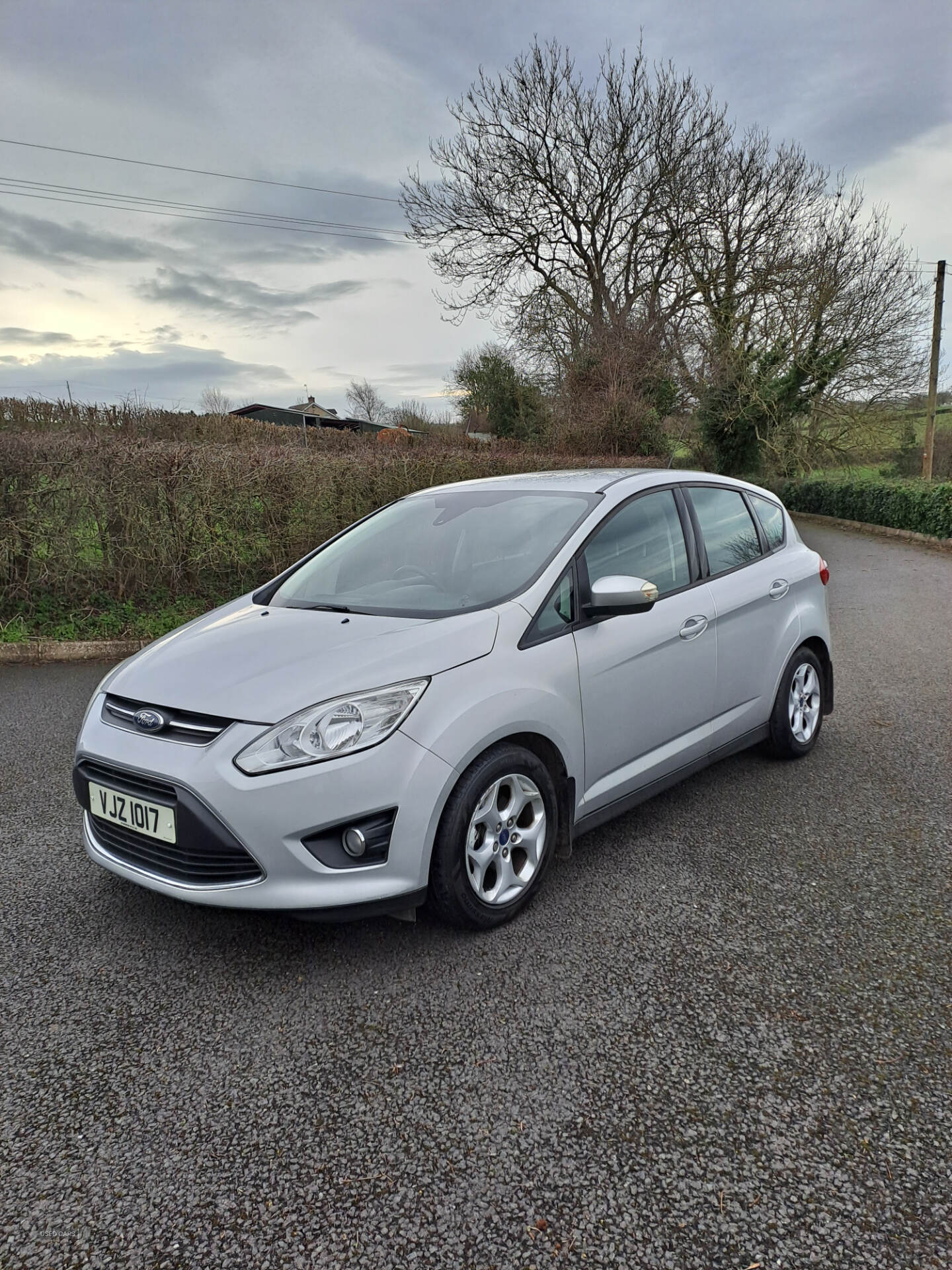 Ford C-max ESTATE in Armagh