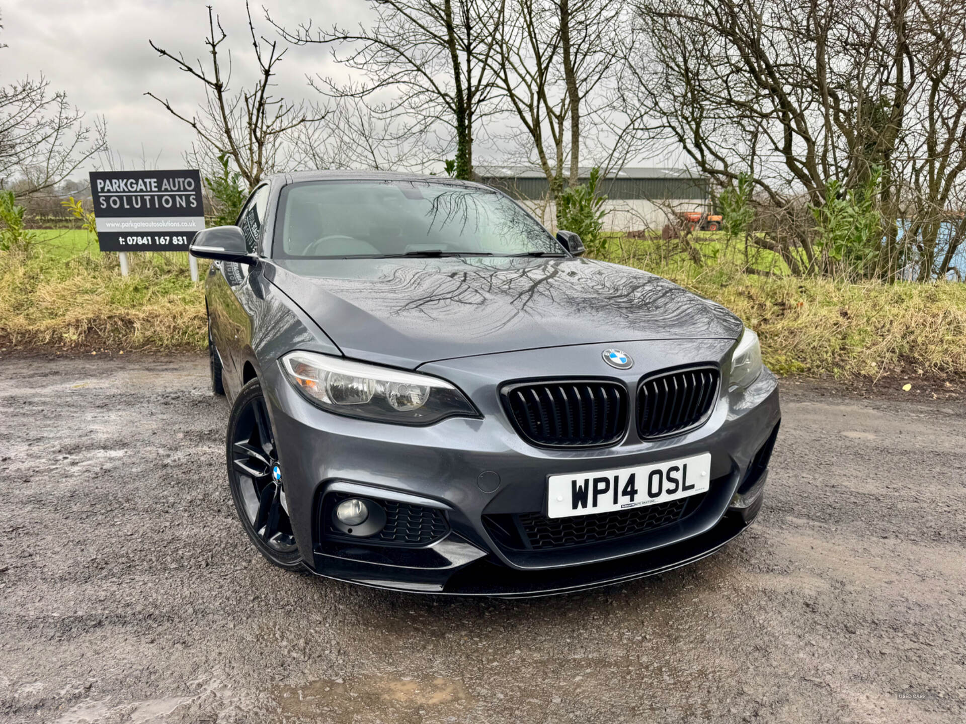 May 2014 BMW 2 Series 220d M Sport 2dr