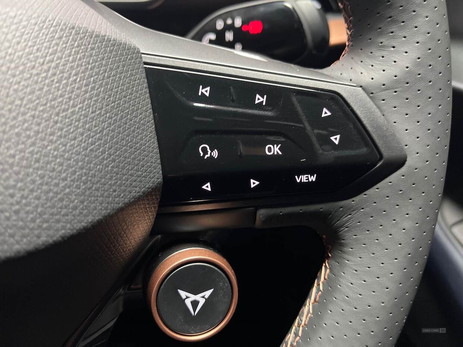 2024 Cupra  TAVASCAN 210Kw V2 77Kwh 5Dr Auto [Winter Pack]