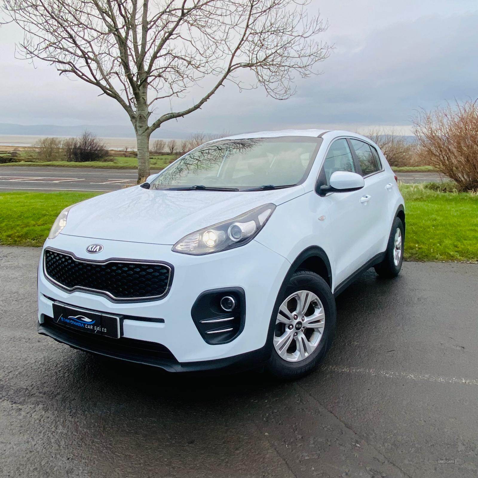 Kia Sportage DIESEL ESTATE in Derry / Londonderry