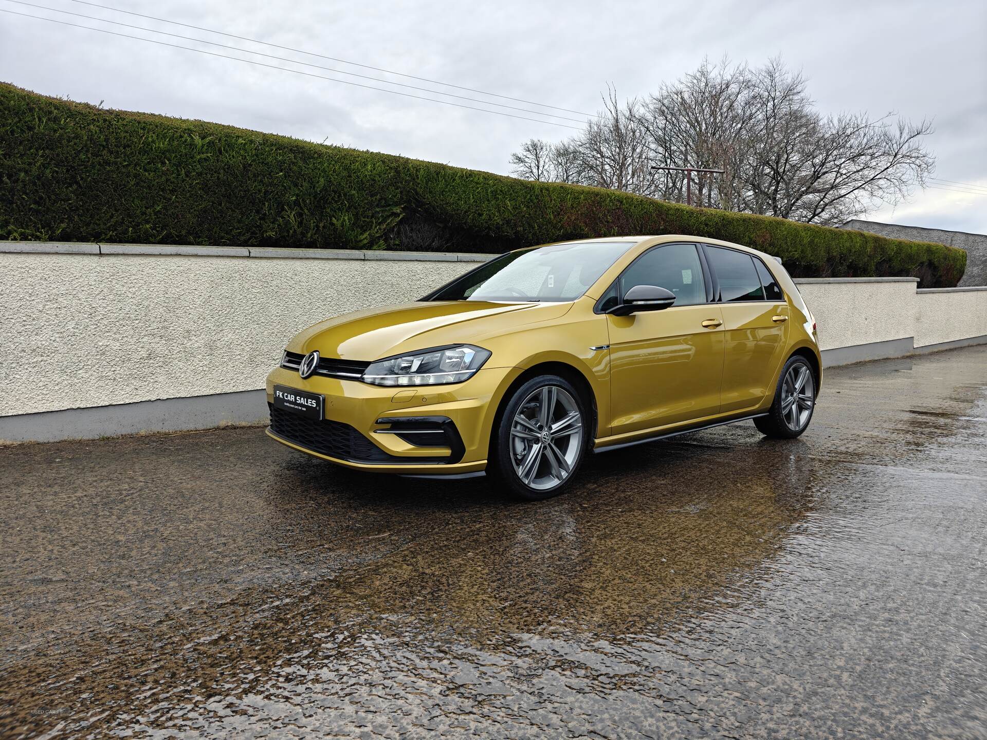 Jun 2018 Volkswagen Golf 2.0 TDI R-Line 5dr DSG