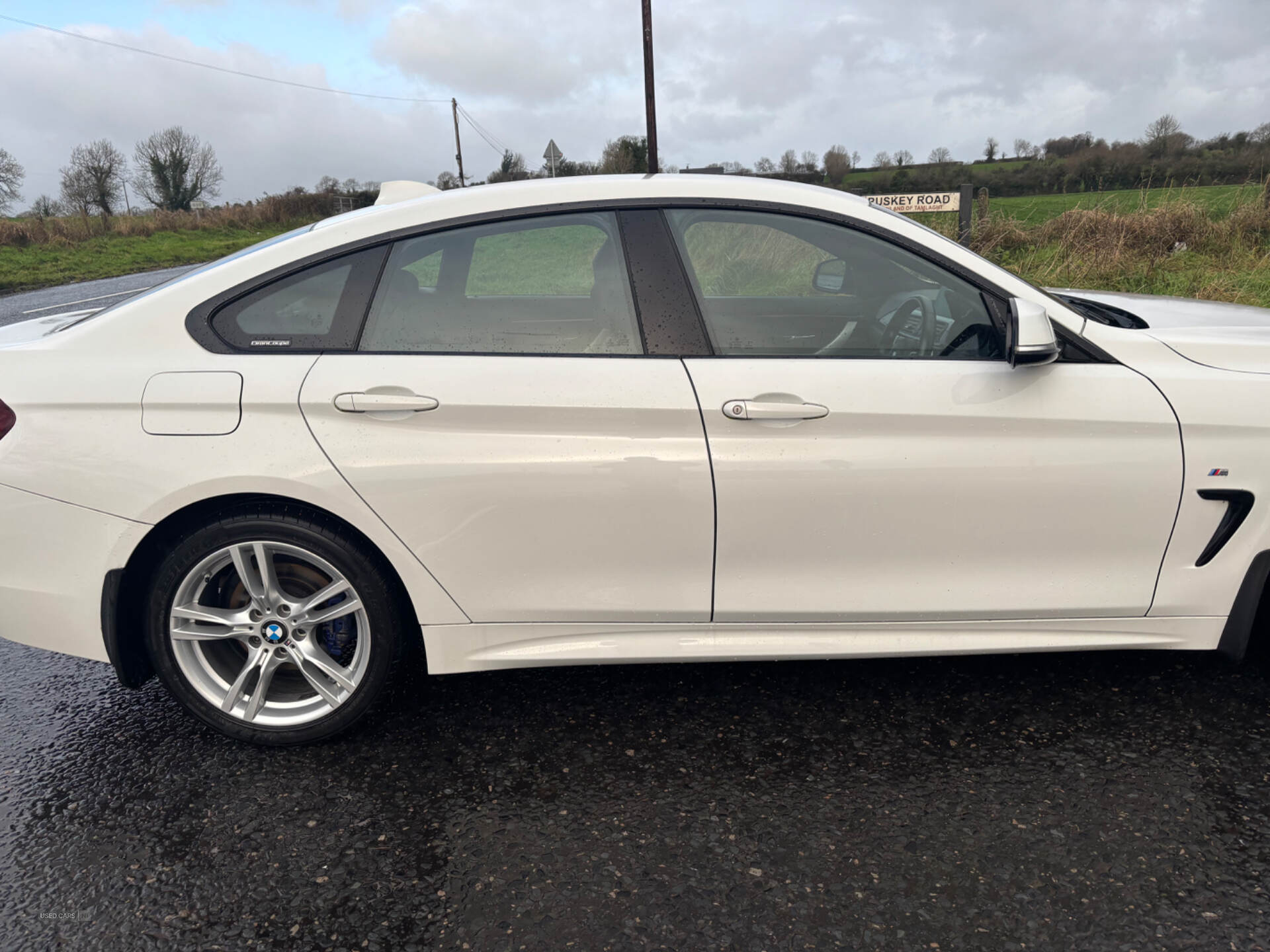 Mar 2019 BMW 4 Series 420d [190] M Sport 5dr Auto [Professional Media]