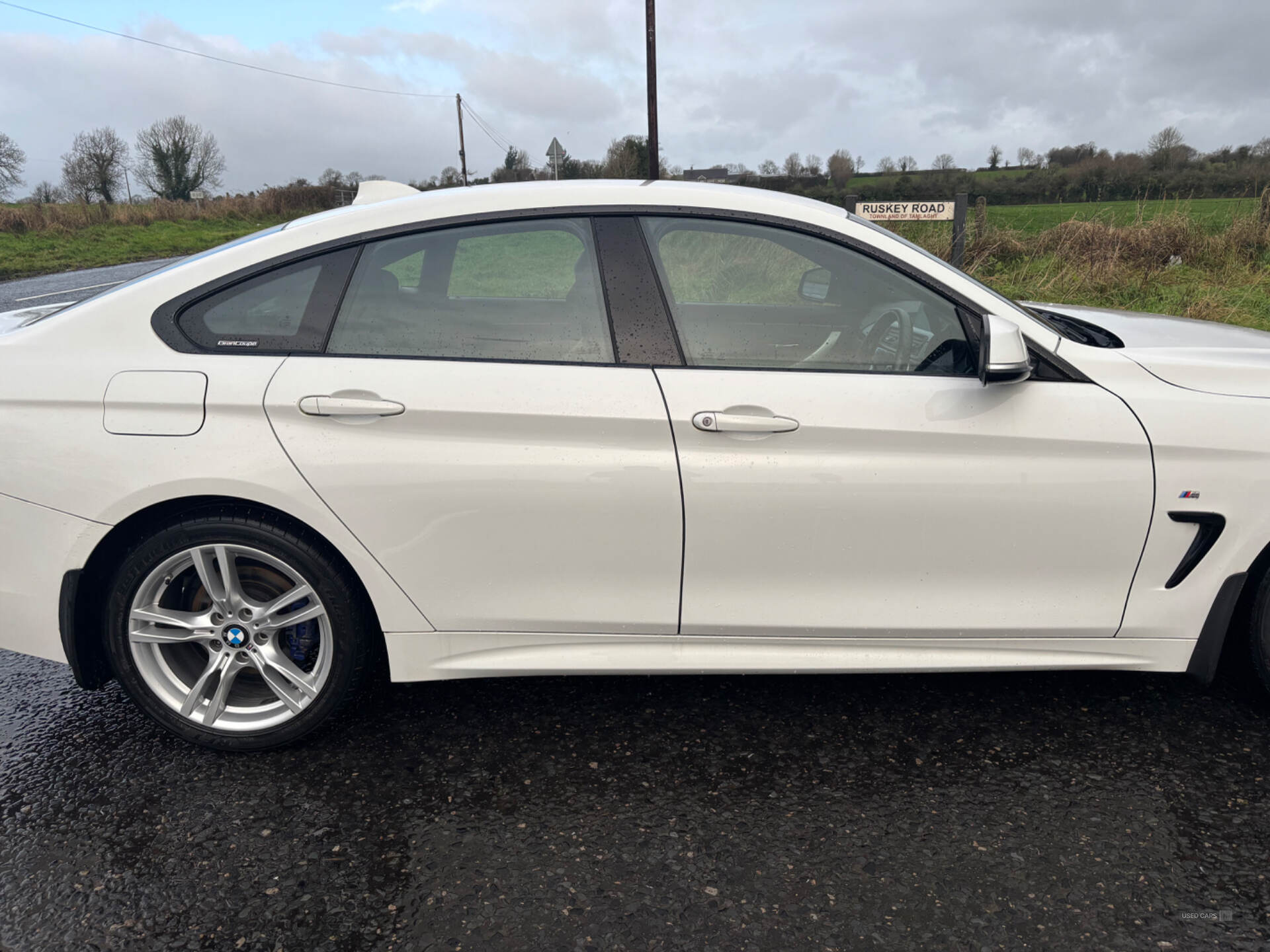 Mar 2019 BMW 4 Series 420d [190] M Sport 5dr Auto [Professional Media]