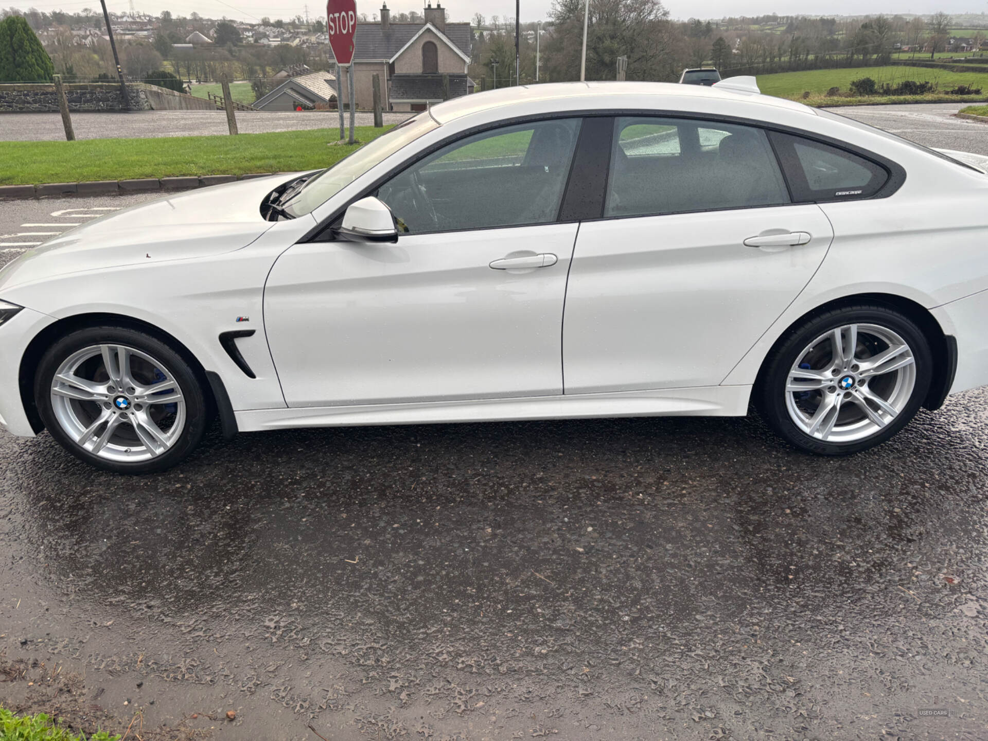 Mar 2019 BMW 4 Series 420d [190] M Sport 5dr Auto [Professional Media]