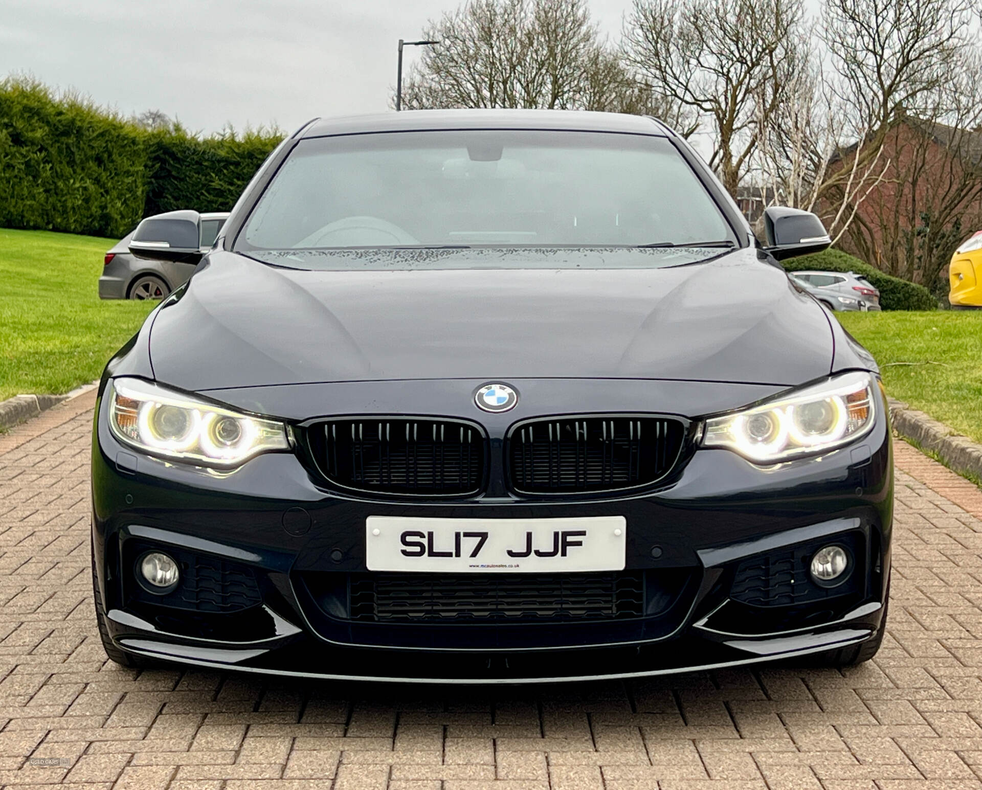 Mar 2017 BMW 4 Series 420d [190] M Sport 5dr Auto [Professional Media]