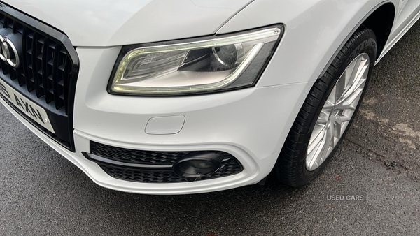 Audi Q5 ESTATE SPECIAL EDITIONS in Fermanagh