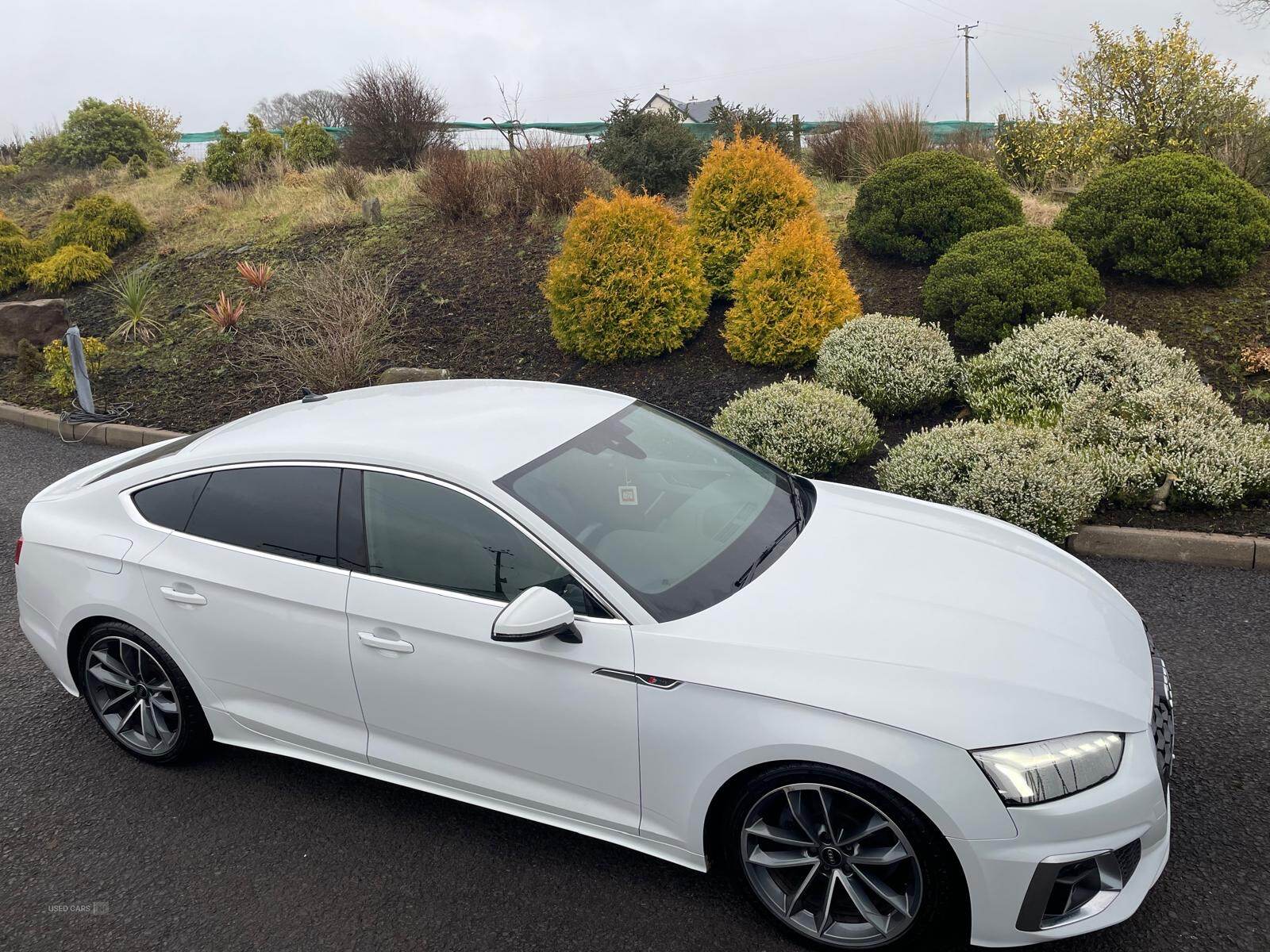 Audi A5 DIESEL SPORTBACK in Tyrone