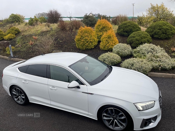 Audi A5 DIESEL SPORTBACK in Tyrone