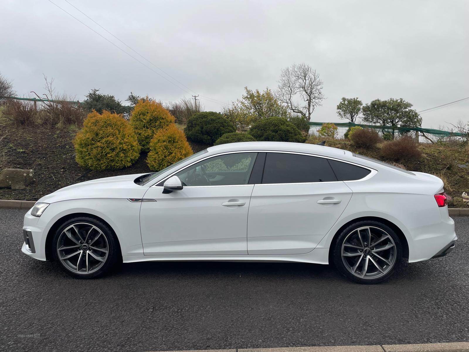 Audi A5 DIESEL SPORTBACK in Tyrone