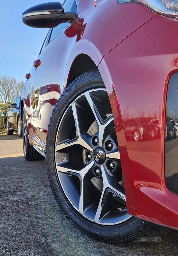 Kia Ceed HATCHBACK in Fermanagh