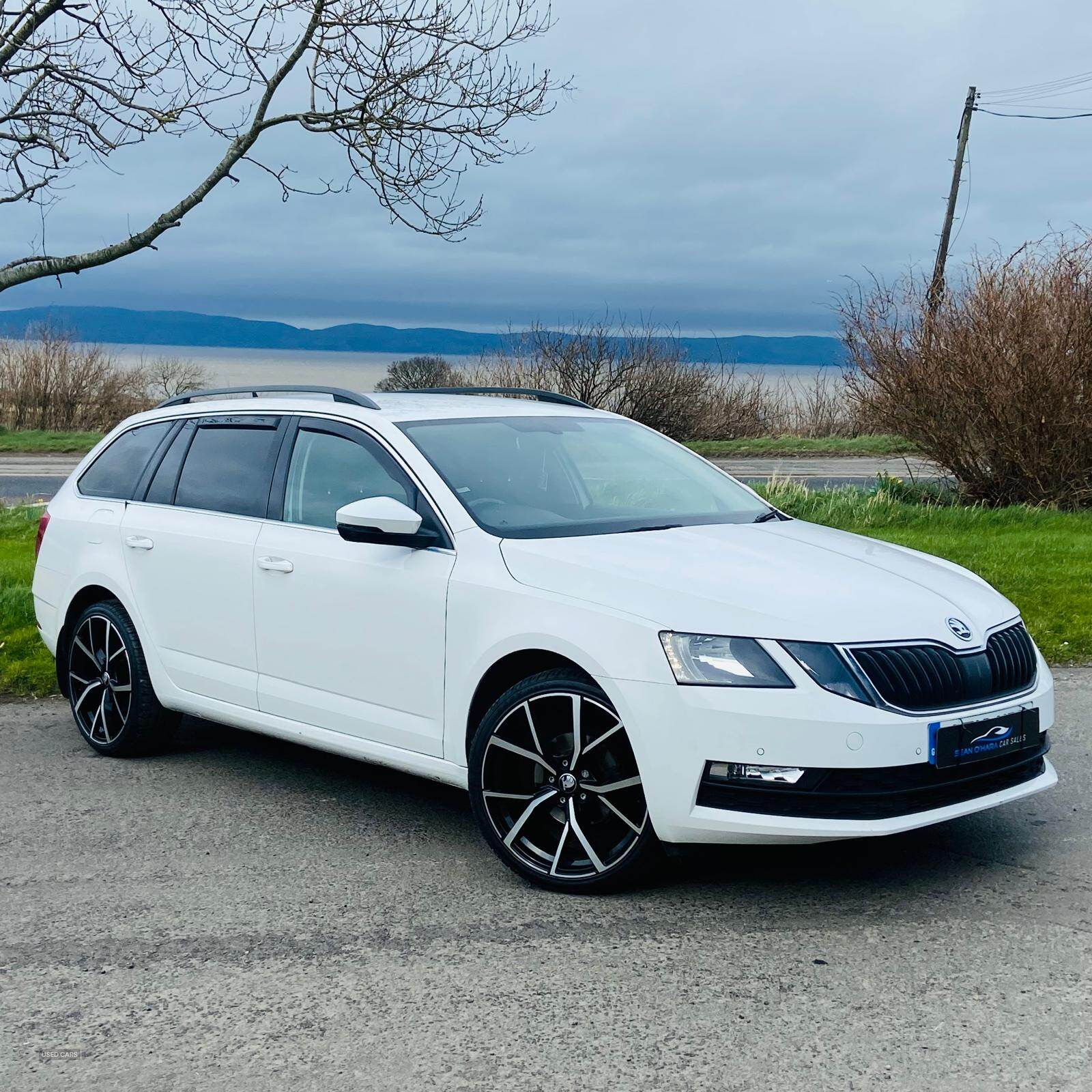 Skoda Octavia DIESEL ESTATE in Derry / Londonderry