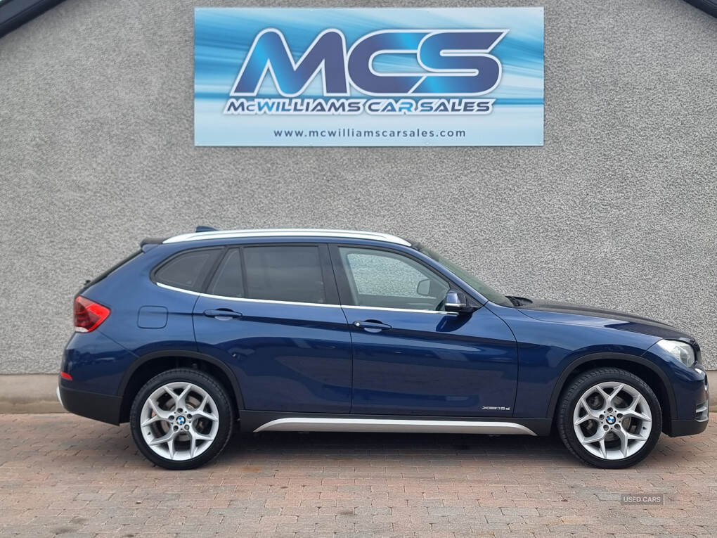 Jun 2013 BMW X1 xDrive 18d xLine 5dr