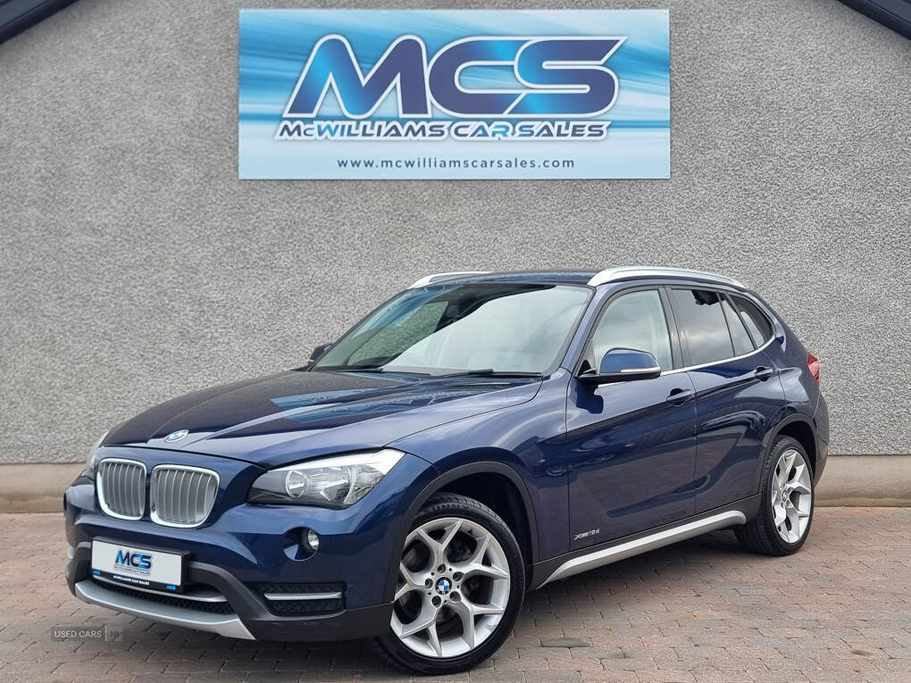 Jun 2013 BMW X1 xDrive 18d xLine 5dr