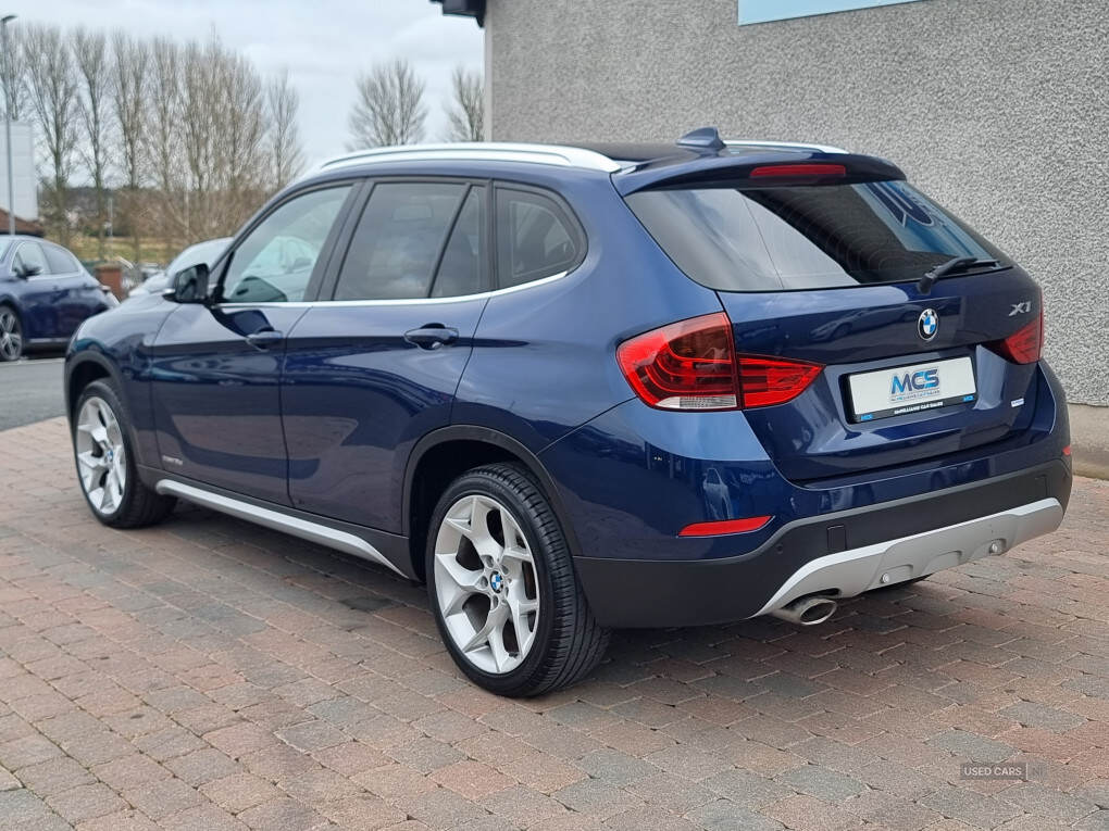 Jun 2013 BMW X1 xDrive 18d xLine 5dr