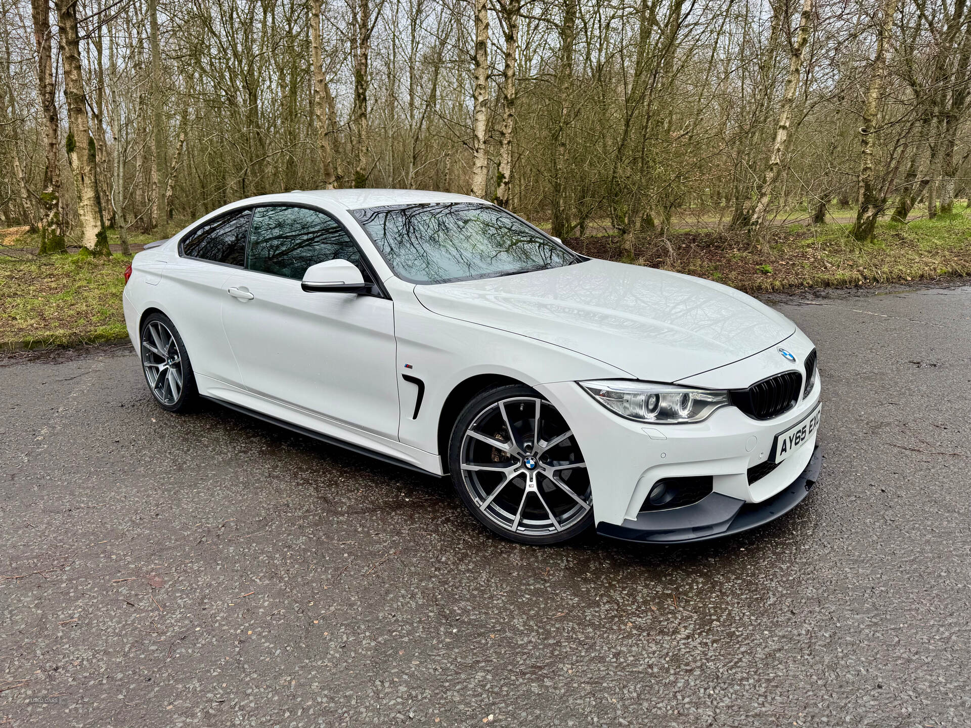 Sep 2015 BMW 4 Series 420d [190] M Sport 2dr [Professional Media]