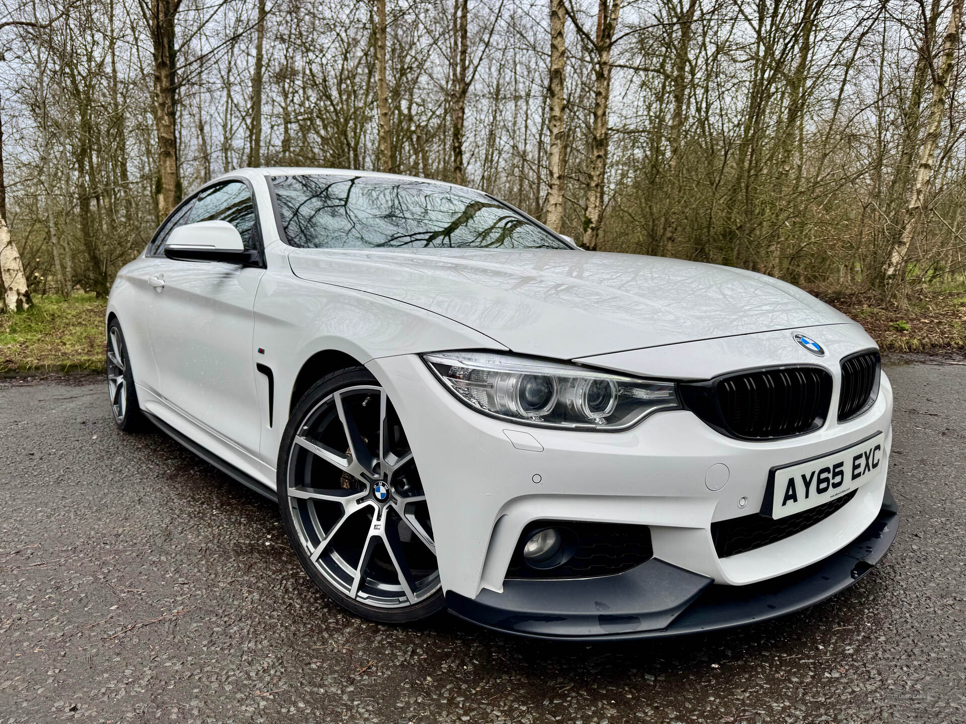 Sep 2015 BMW 4 Series 420d [190] M Sport 2dr [Professional Media]
