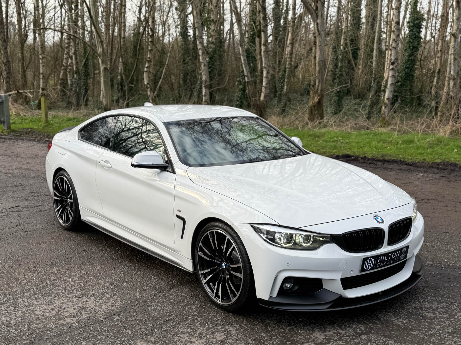 Feb 2018 BMW 4 Series 420d [190] M Sport 2dr Auto [Professional Media]