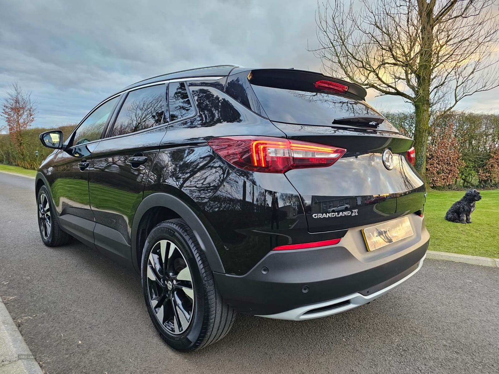 Jun 2021 Vauxhall Grandland X 1.5 Turbo D Griffin Edition 5dr