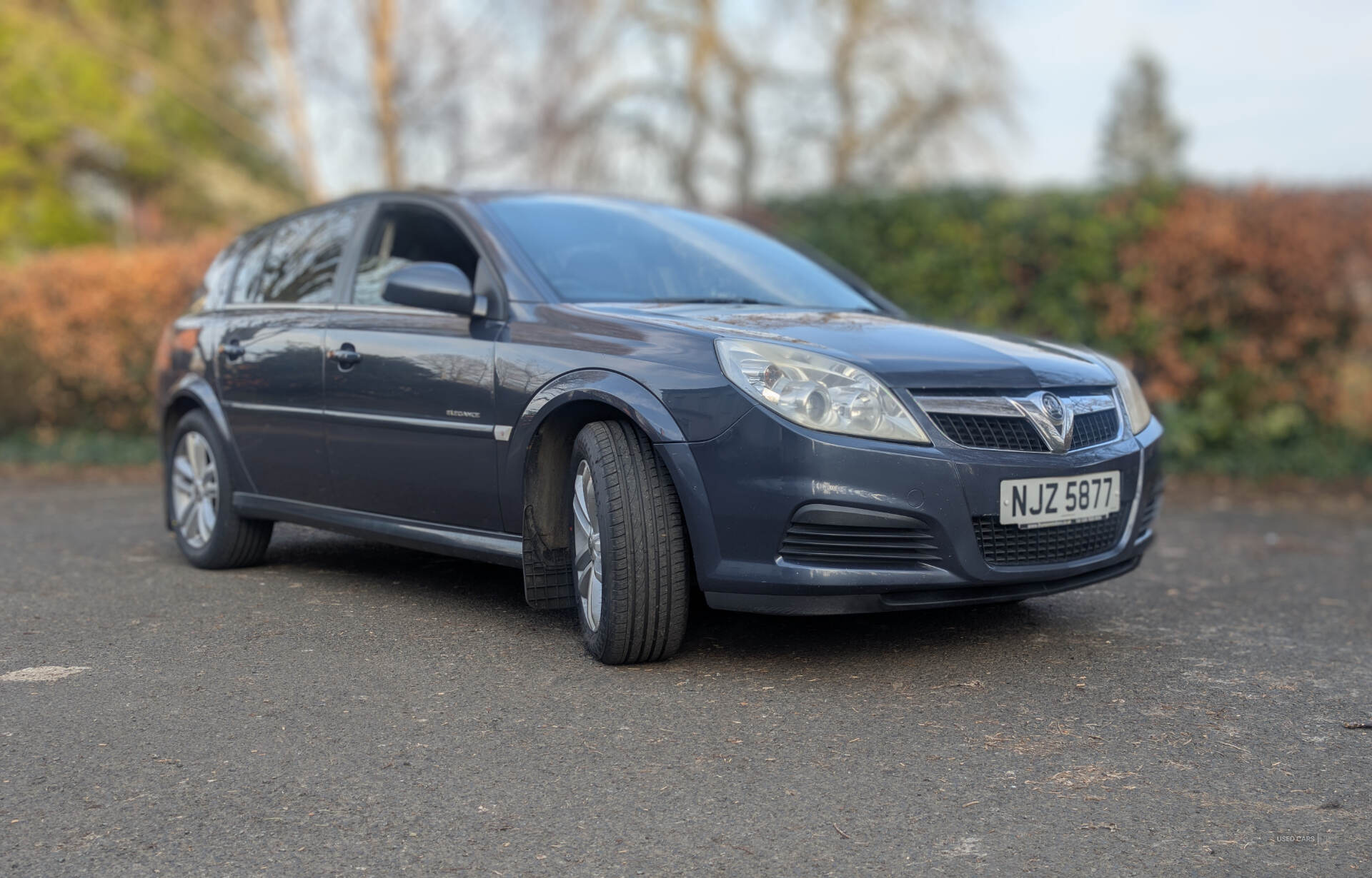 Jan 2007 Vauxhall Signum 1.9 CDTi Elegance [120] 5dr