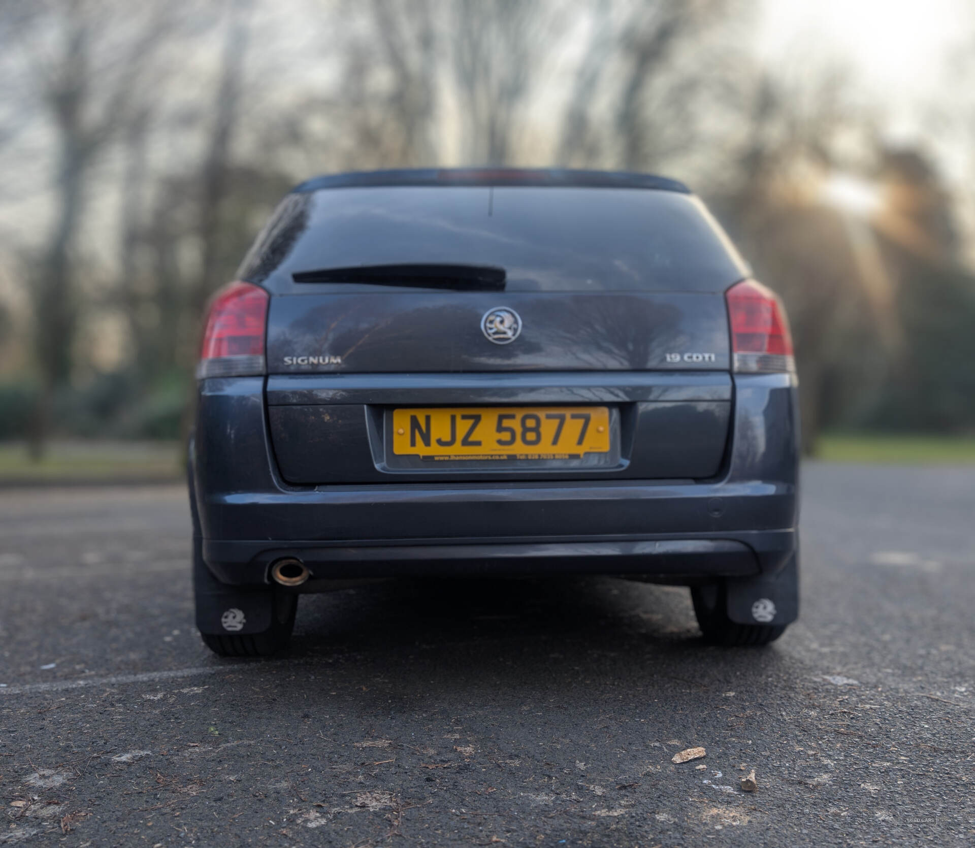 Jan 2007 Vauxhall Signum 1.9 CDTi Elegance [120] 5dr