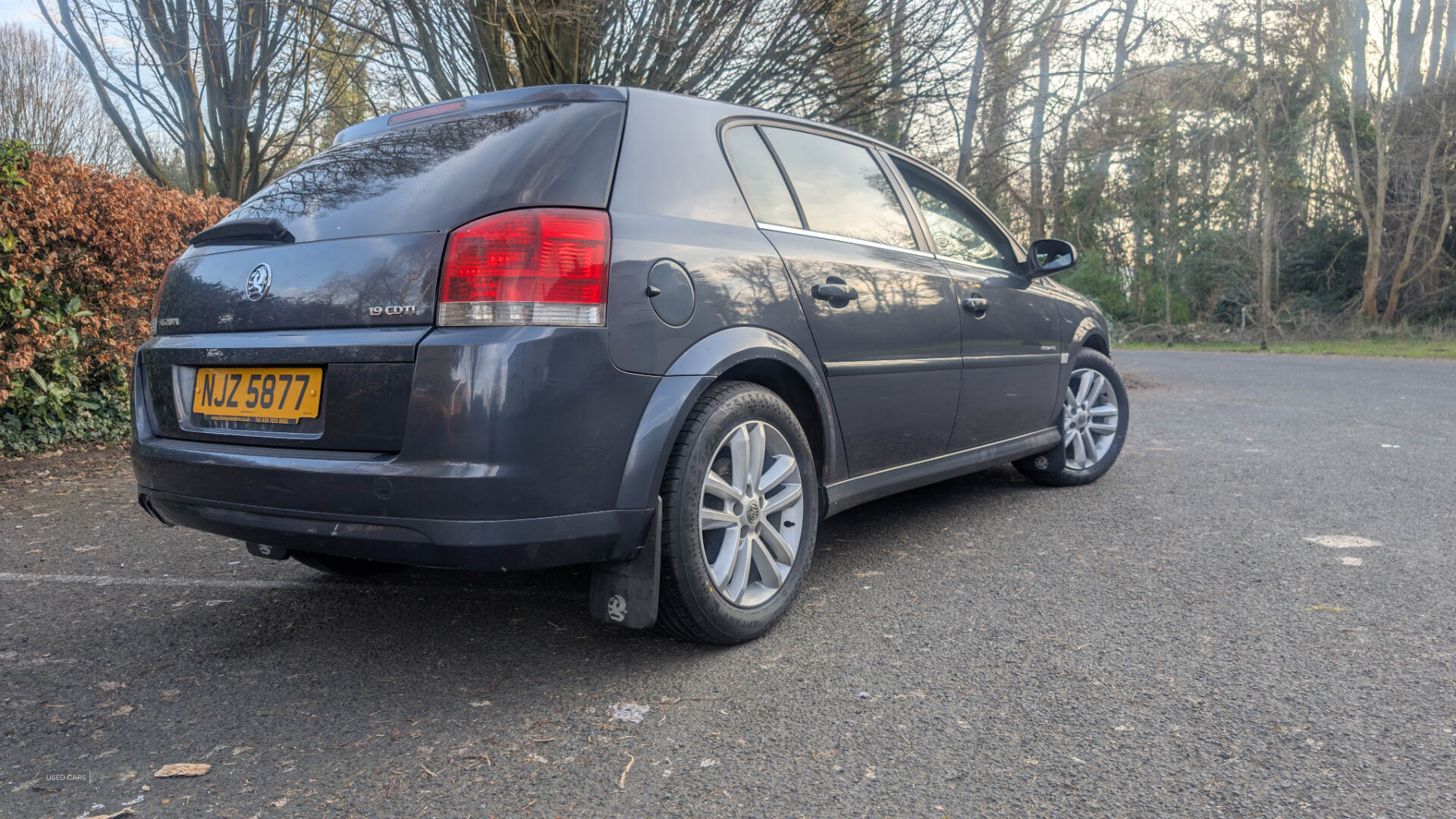 Jan 2007 Vauxhall Signum 1.9 CDTi Elegance [120] 5dr