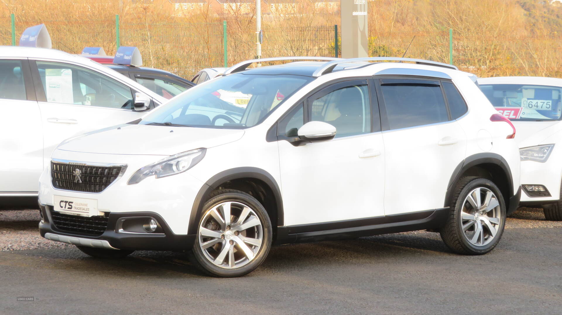 Peugeot 2008 ESTATE in Derry / Londonderry