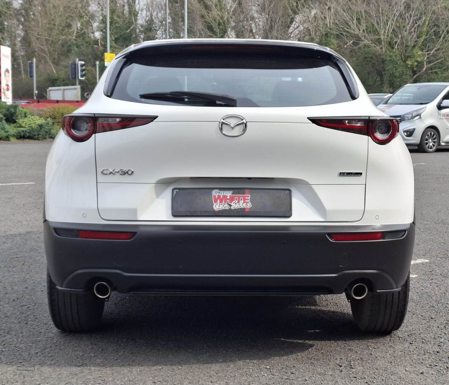 Jan 2022 Mazda CX-30 2.0 e-Skyactiv G MHEV SE-L Lux 5dr