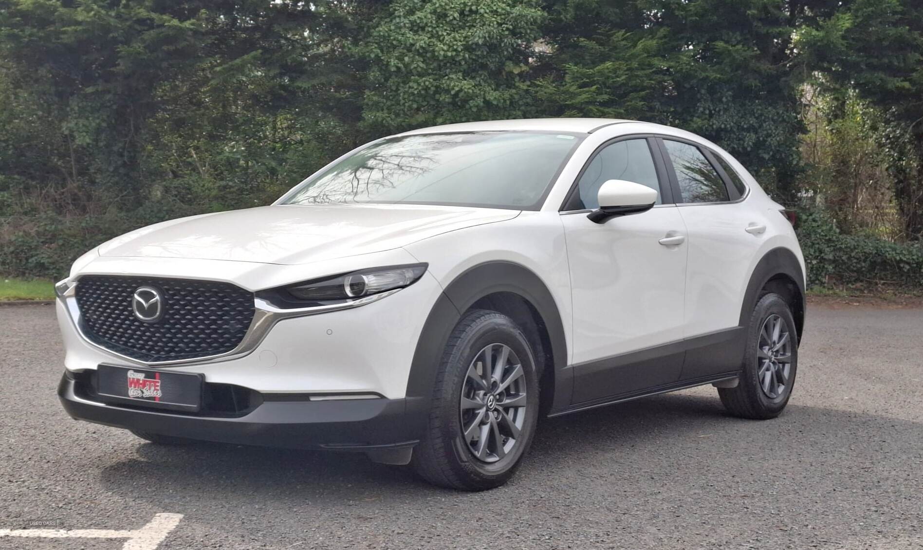 Jan 2022 Mazda CX-30 2.0 e-Skyactiv G MHEV SE-L Lux 5dr