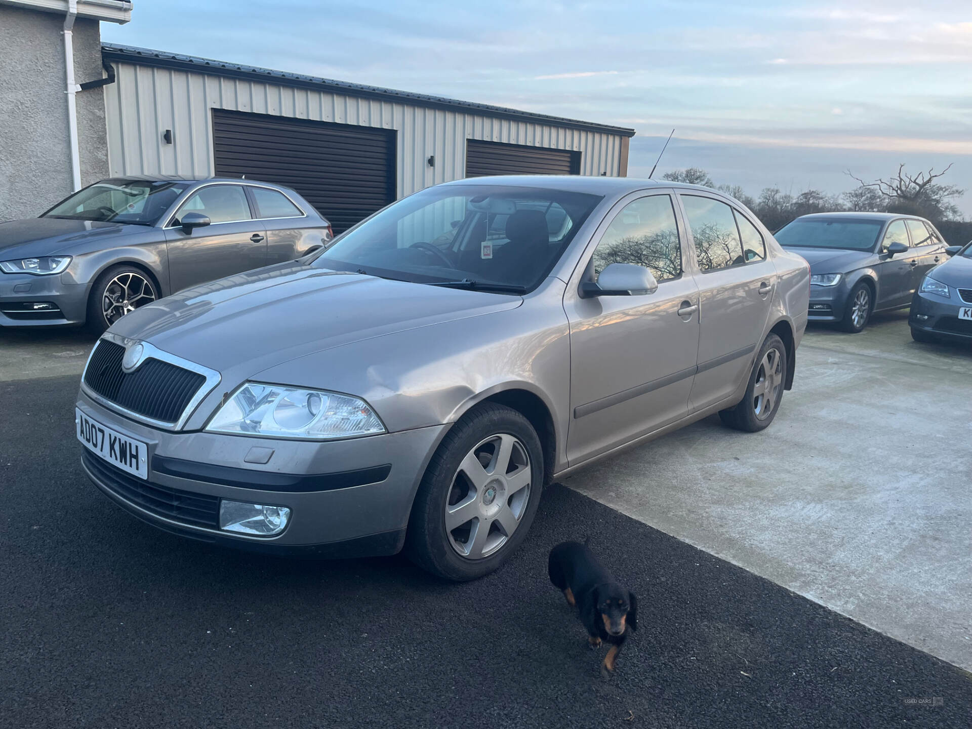 Jun 2007 Skoda Octavia 1.9 TDI PD Elegance 5dr