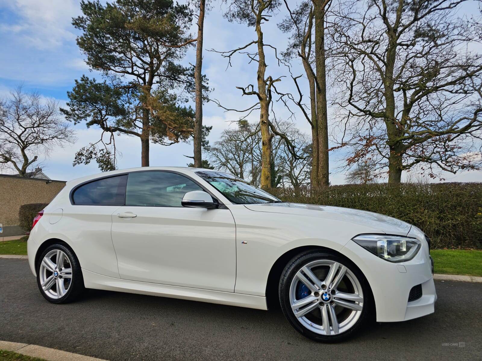 Jun 2014 BMW 1 Series 120d M Sport 3dr Step Auto