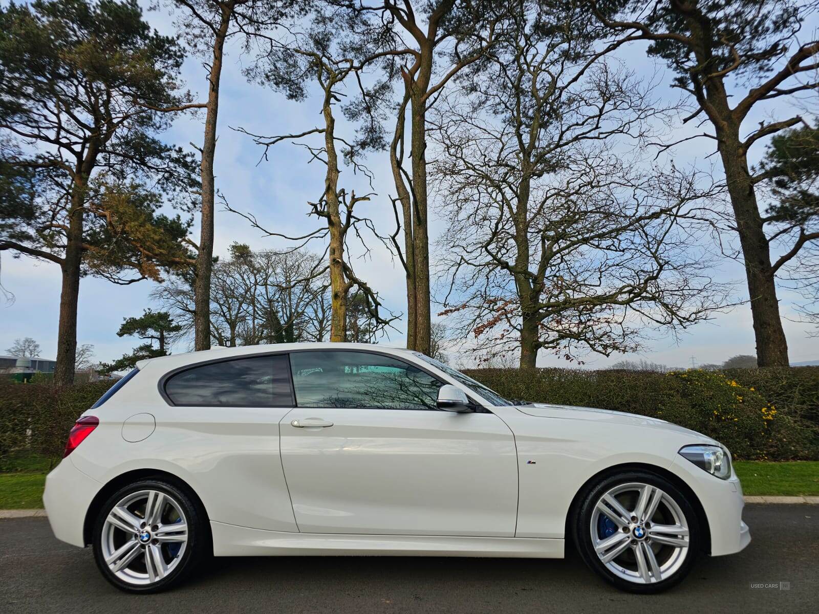 Jun 2014 BMW 1 Series 120d M Sport 3dr Step Auto