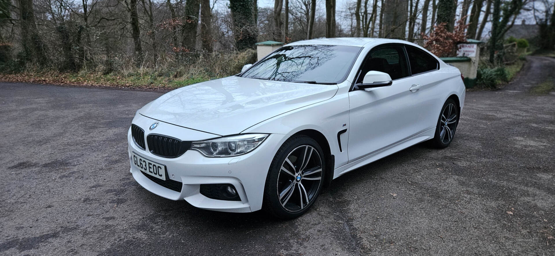 Jan 2014 BMW 4 Series 420d xDrive M Sport 2dr