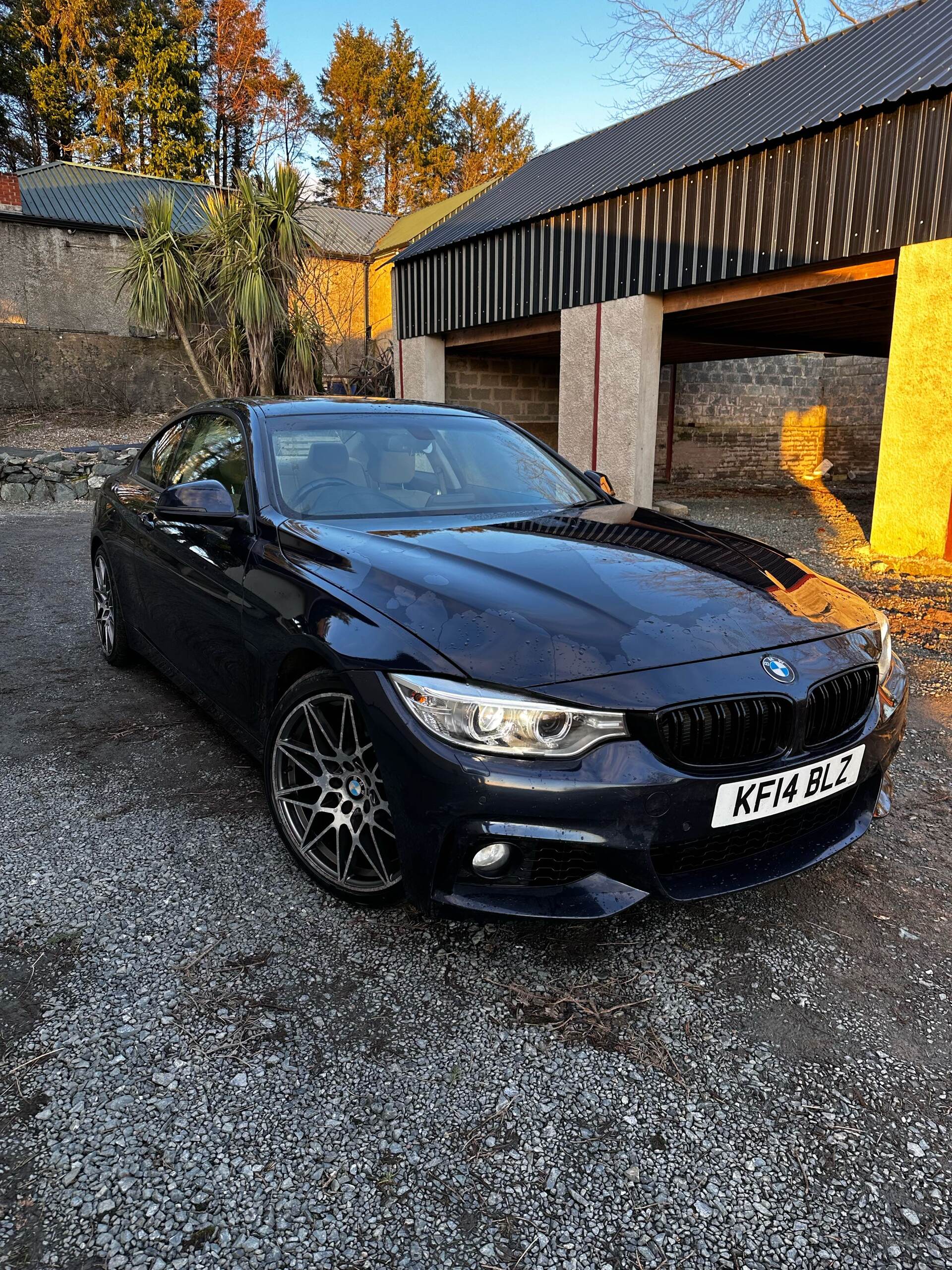 Mar 2014 BMW 4 Series 420d SE 2dr Auto