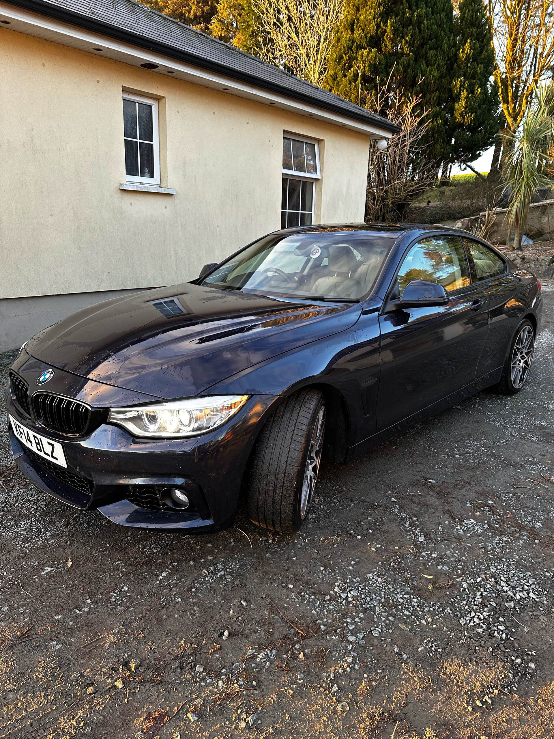 Mar 2014 BMW 4 Series 420d SE 2dr Auto